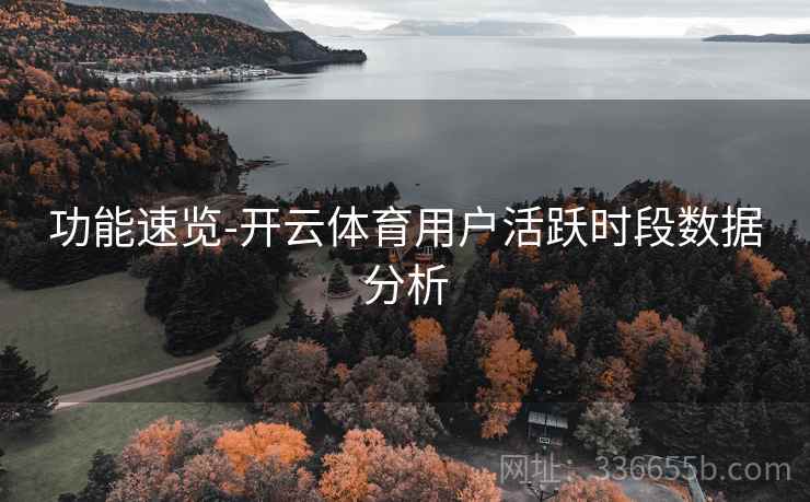 功能速览-开云体育用户活跃时段数据分析