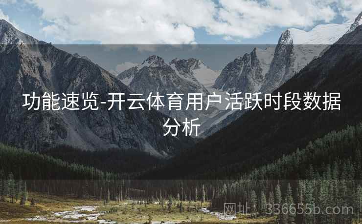 功能速览-开云体育用户活跃时段数据分析